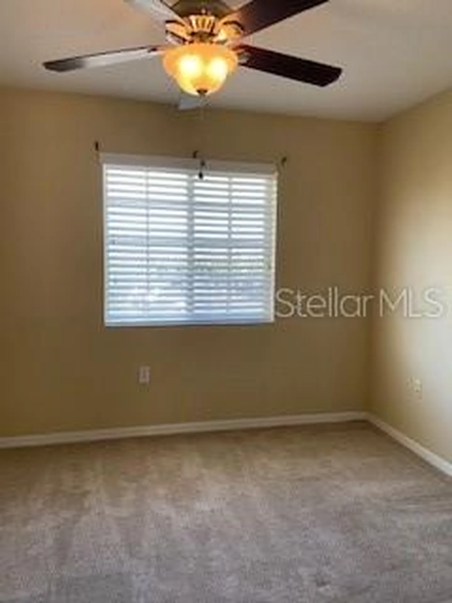 20418 Needletree Drive Tampa FL 33647