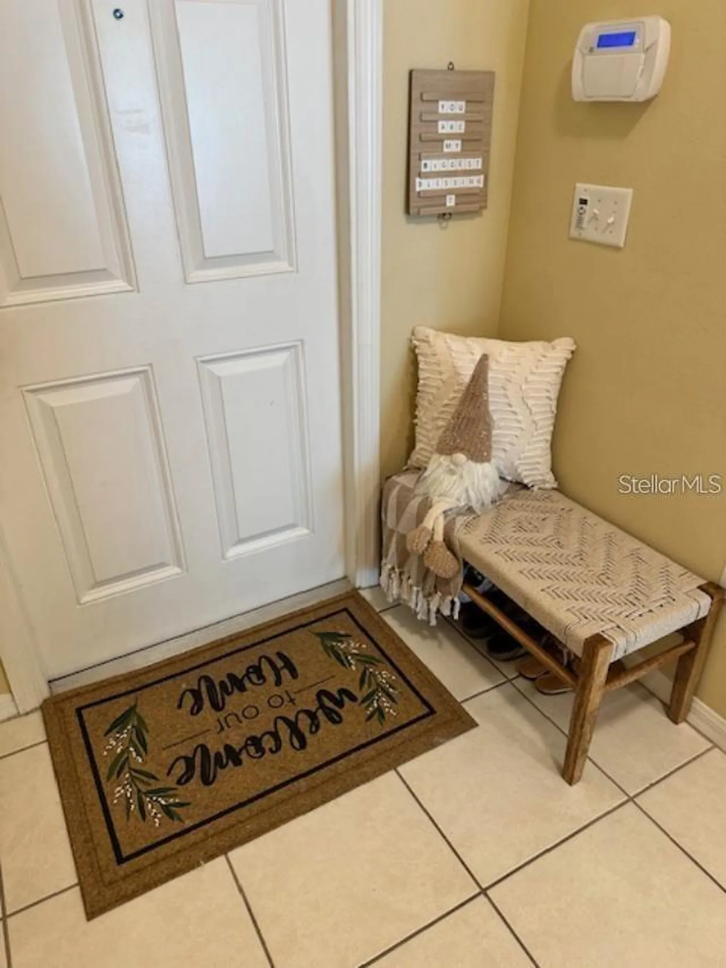 20418 Needletree Drive Tampa FL 33647