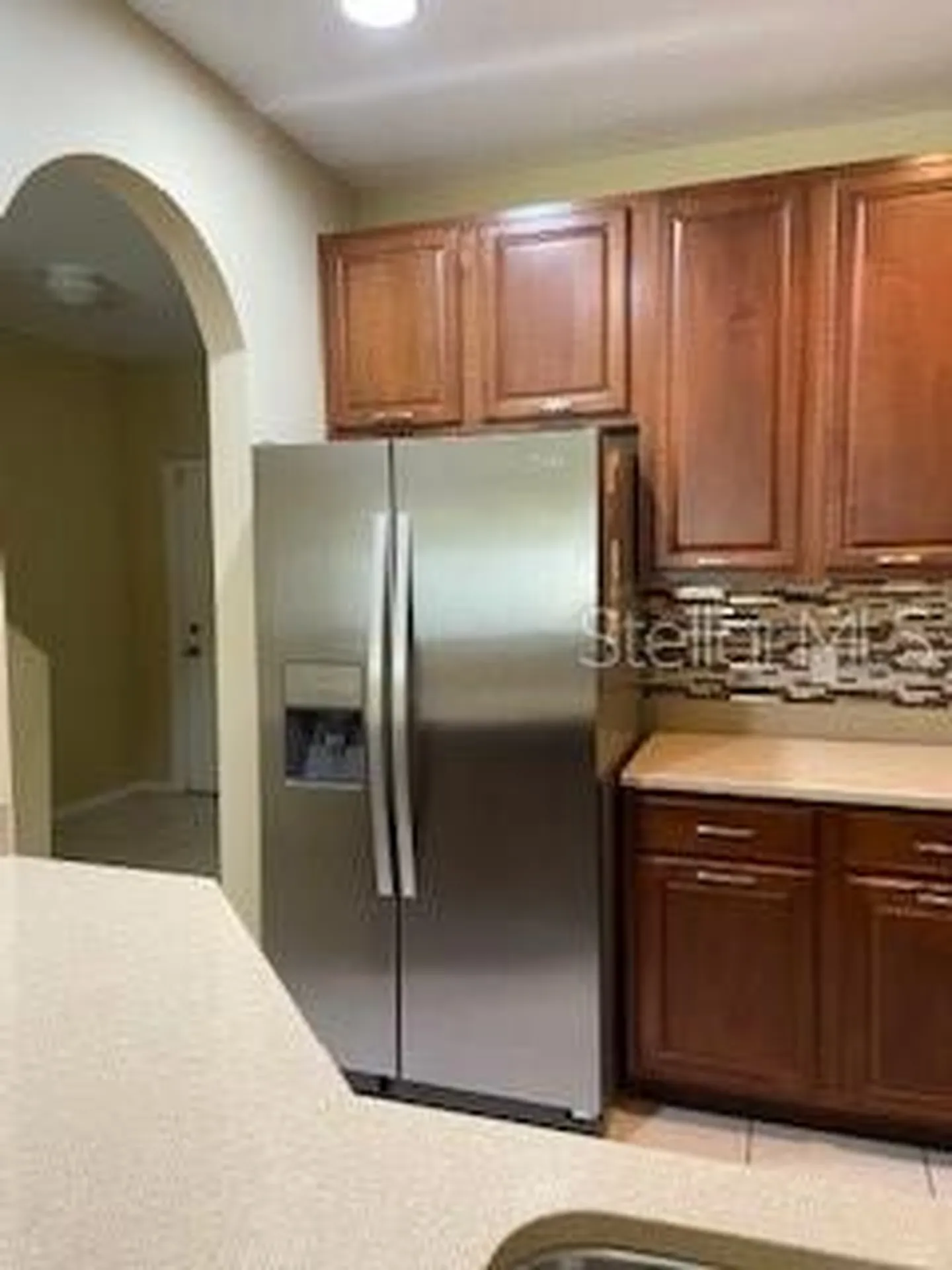 20418 Needletree Drive Tampa FL 33647
