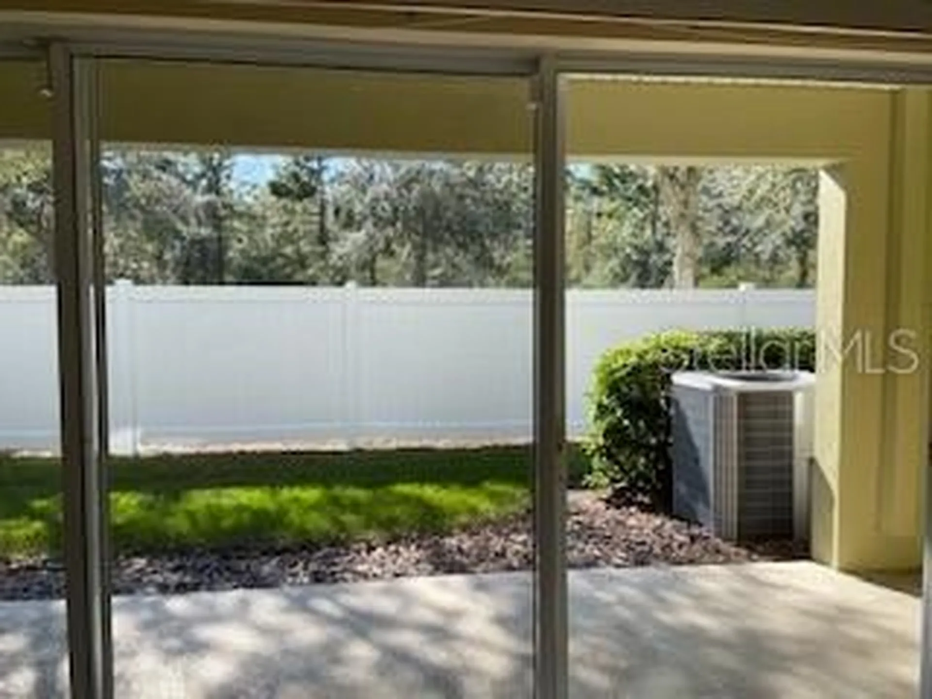 20418 Needletree Drive Tampa FL 33647