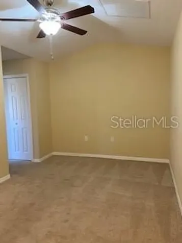 20418 Needletree Drive Tampa FL 33647