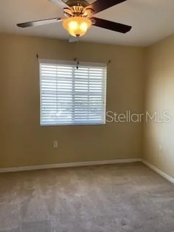 20418 Needletree Drive Tampa FL 33647