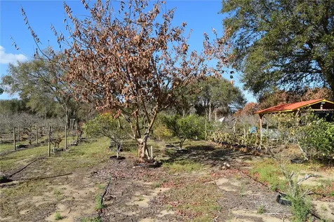 7901 N Cherry Lake Groves Road Groveland FL 34736