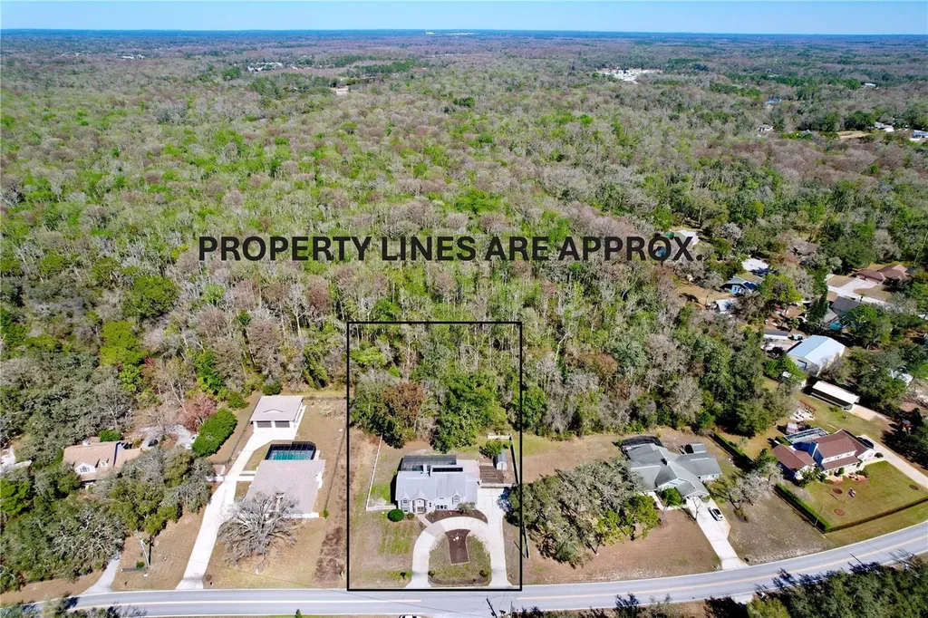 10655 Lakeview Drive New Port Richey FL 34654