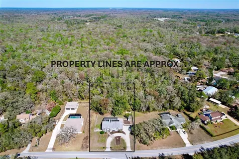 10655 Lakeview Drive New Port Richey FL 34654
