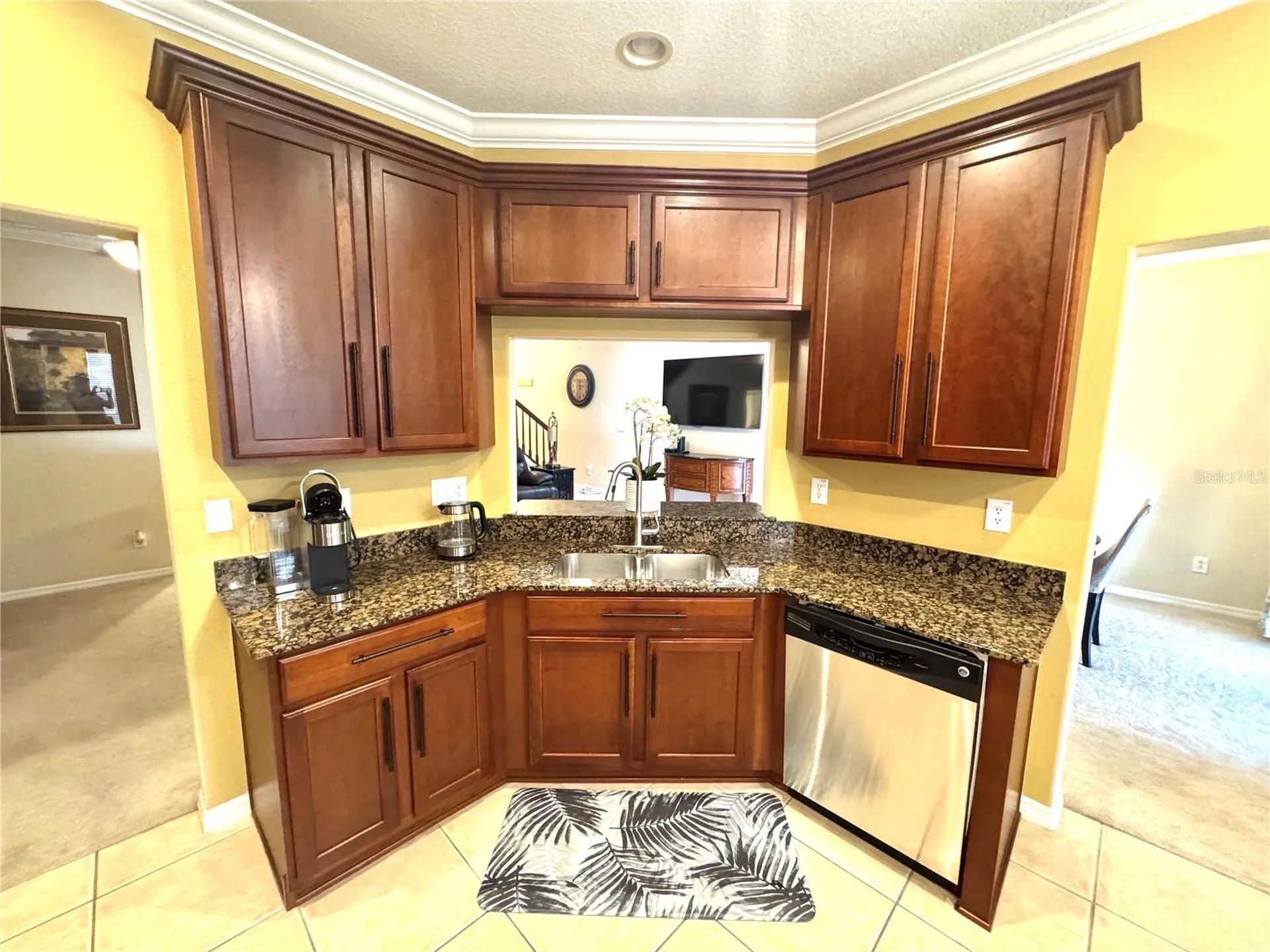 1483 Hillview Lane Tarpon Springs FL 34689