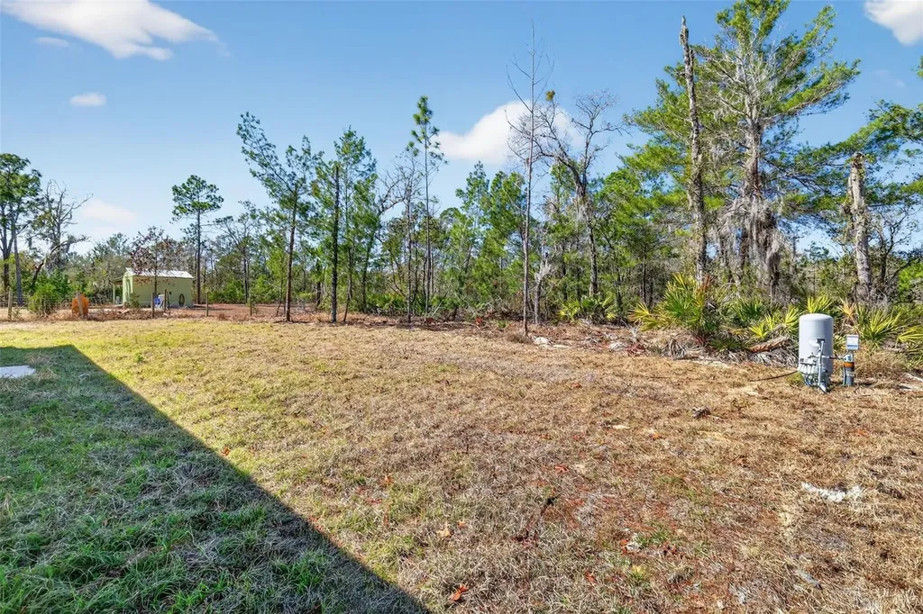 16 Malauka Lane Drive Ocklawaha FL 32179