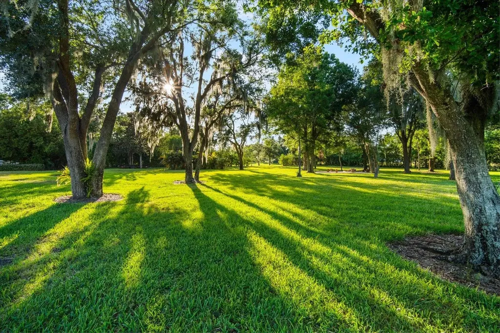 11441 Hammock Oaks Court Lithia FL 33547