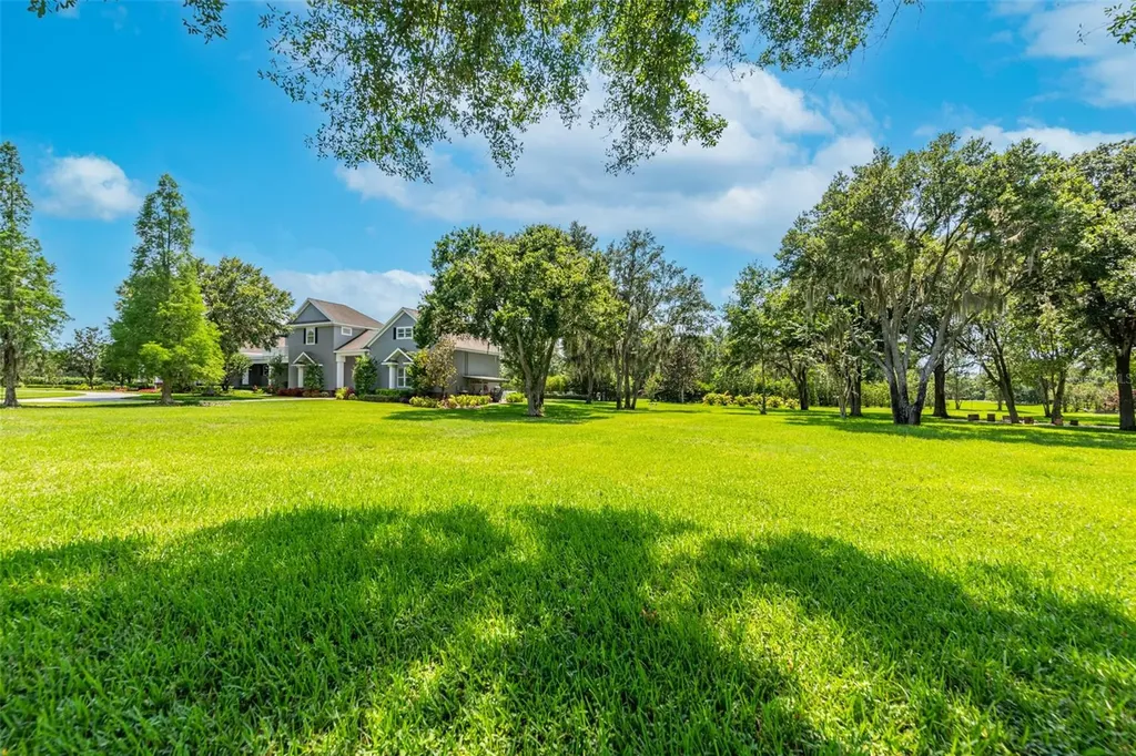 11441 Hammock Oaks Court Lithia FL 33547