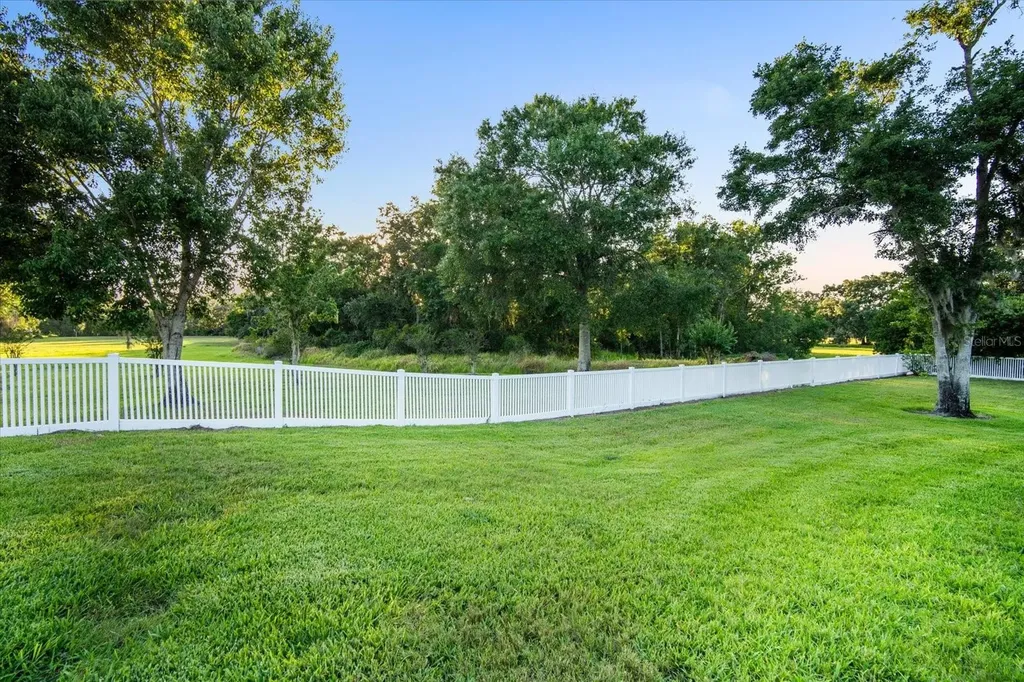 11441 Hammock Oaks Court Lithia FL 33547