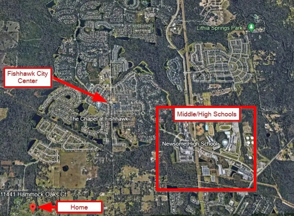 11441 Hammock Oaks Court Lithia FL 33547