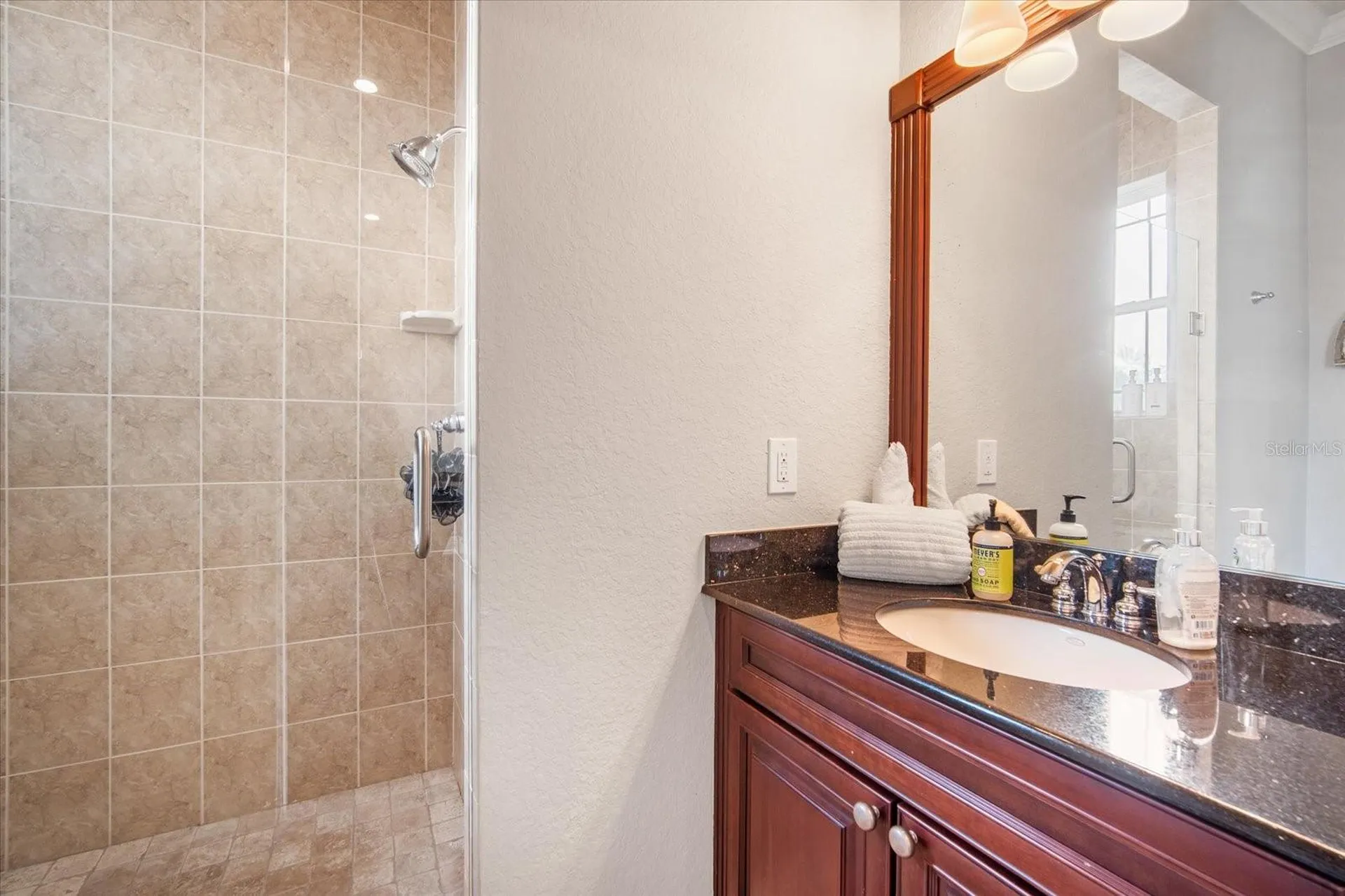 11441 Hammock Oaks Court Lithia FL 33547