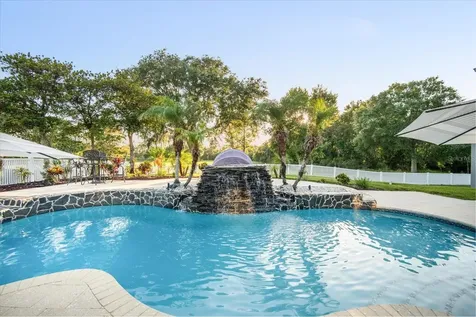 11441 Hammock Oaks Court Lithia FL 33547