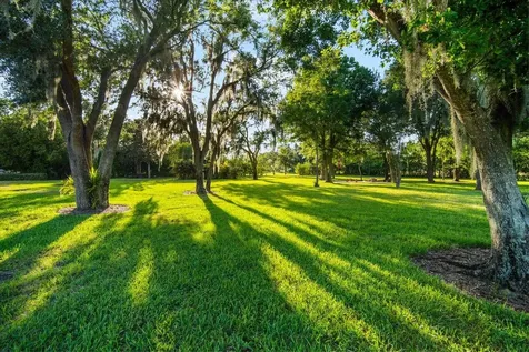 11441 Hammock Oaks Court Lithia FL 33547
