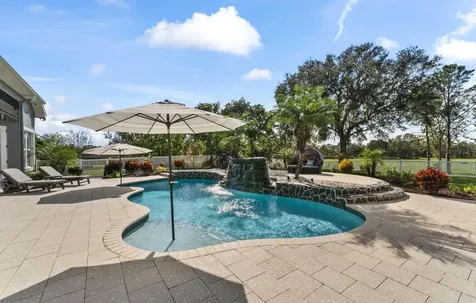 11441 Hammock Oaks Court Lithia FL 33547