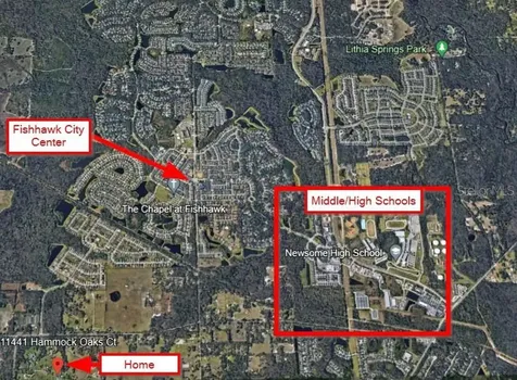 11441 Hammock Oaks Court Lithia FL 33547