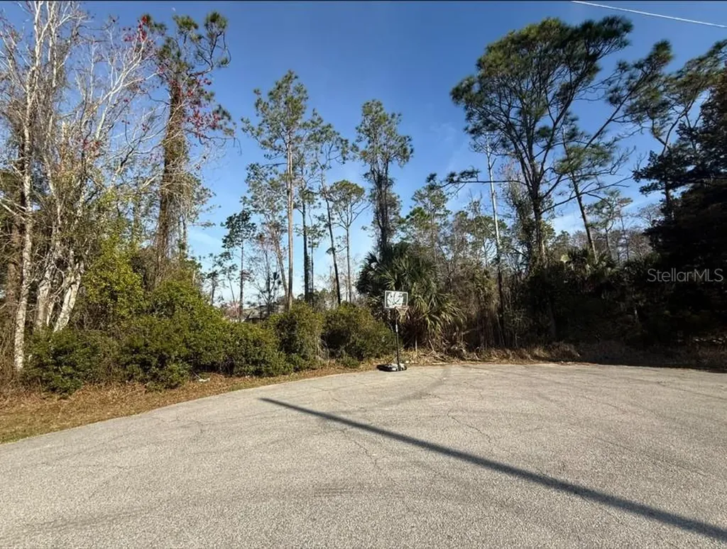 3 Kalmar Place Palm Coast FL 32164