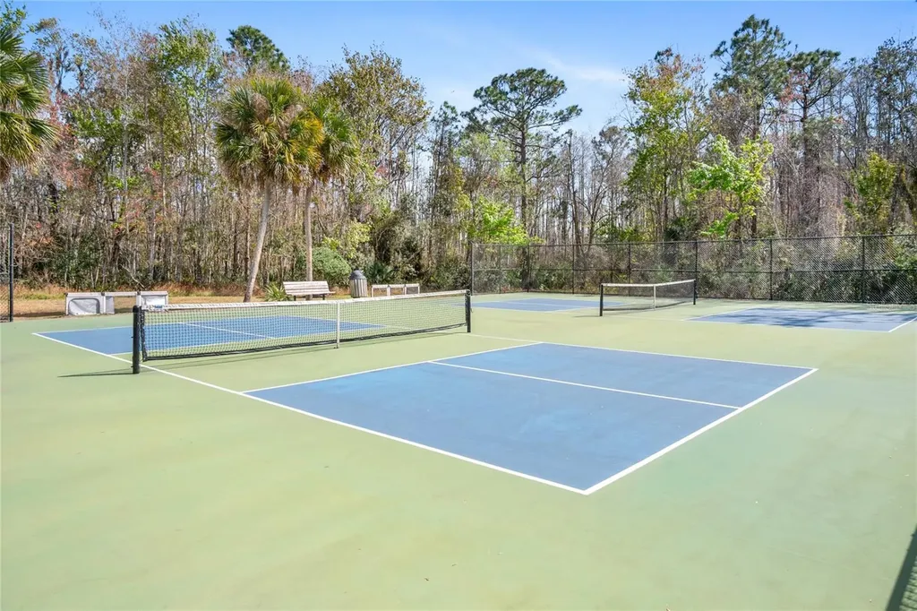 10235 Cala Lily Trail Orlando FL 32832
