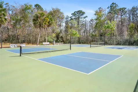 10235 Cala Lily Trail Orlando FL 32832