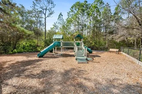 10235 Cala Lily Trail Orlando FL 32832