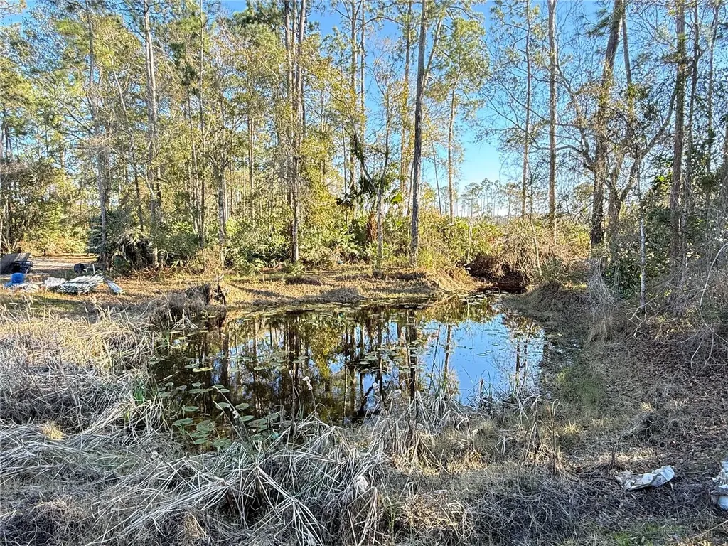 3739 Honeydew Lane New Smyrna Beach FL 32168