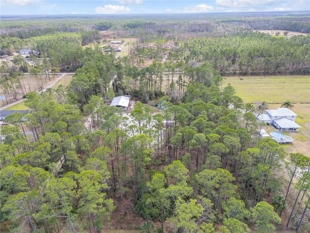 3739 Honeydew Lane New Smyrna Beach FL 32168
