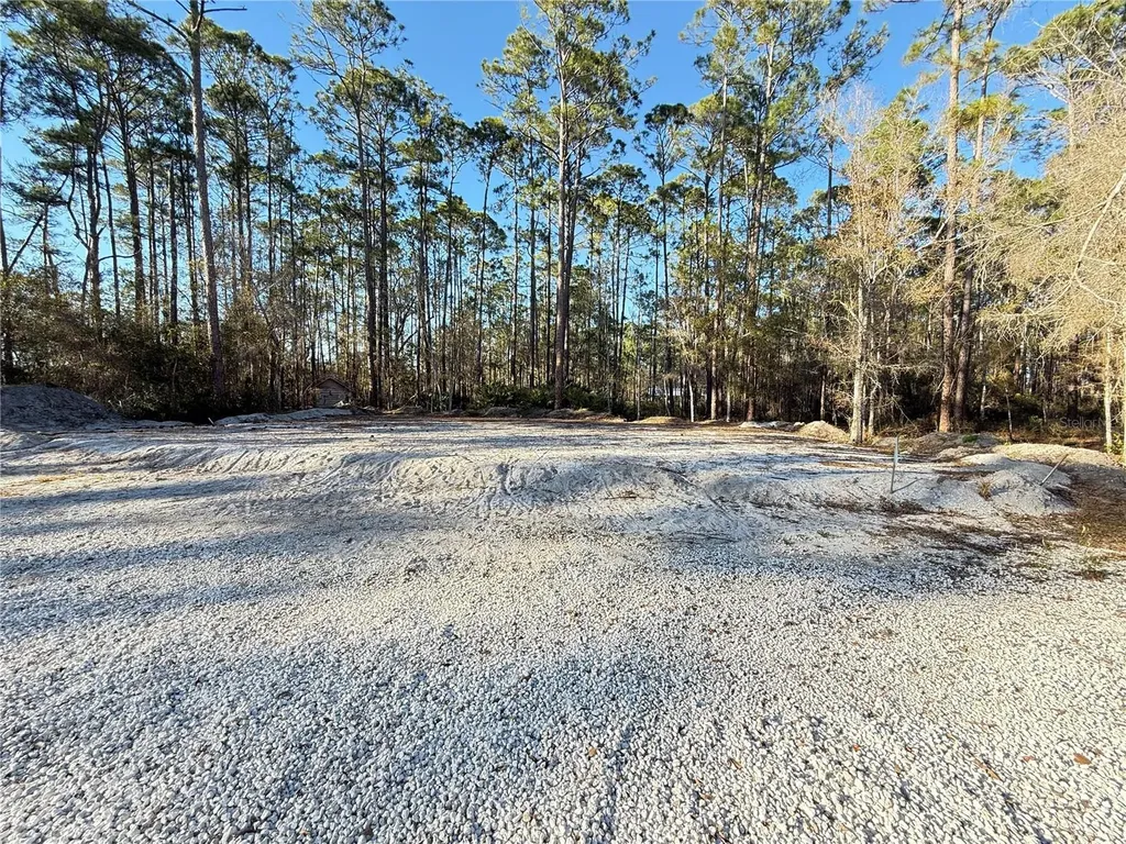 3739 Honeydew Lane New Smyrna Beach FL 32168