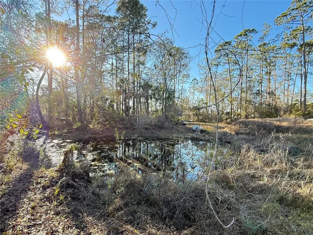 3739 Honeydew Lane New Smyrna Beach FL 32168