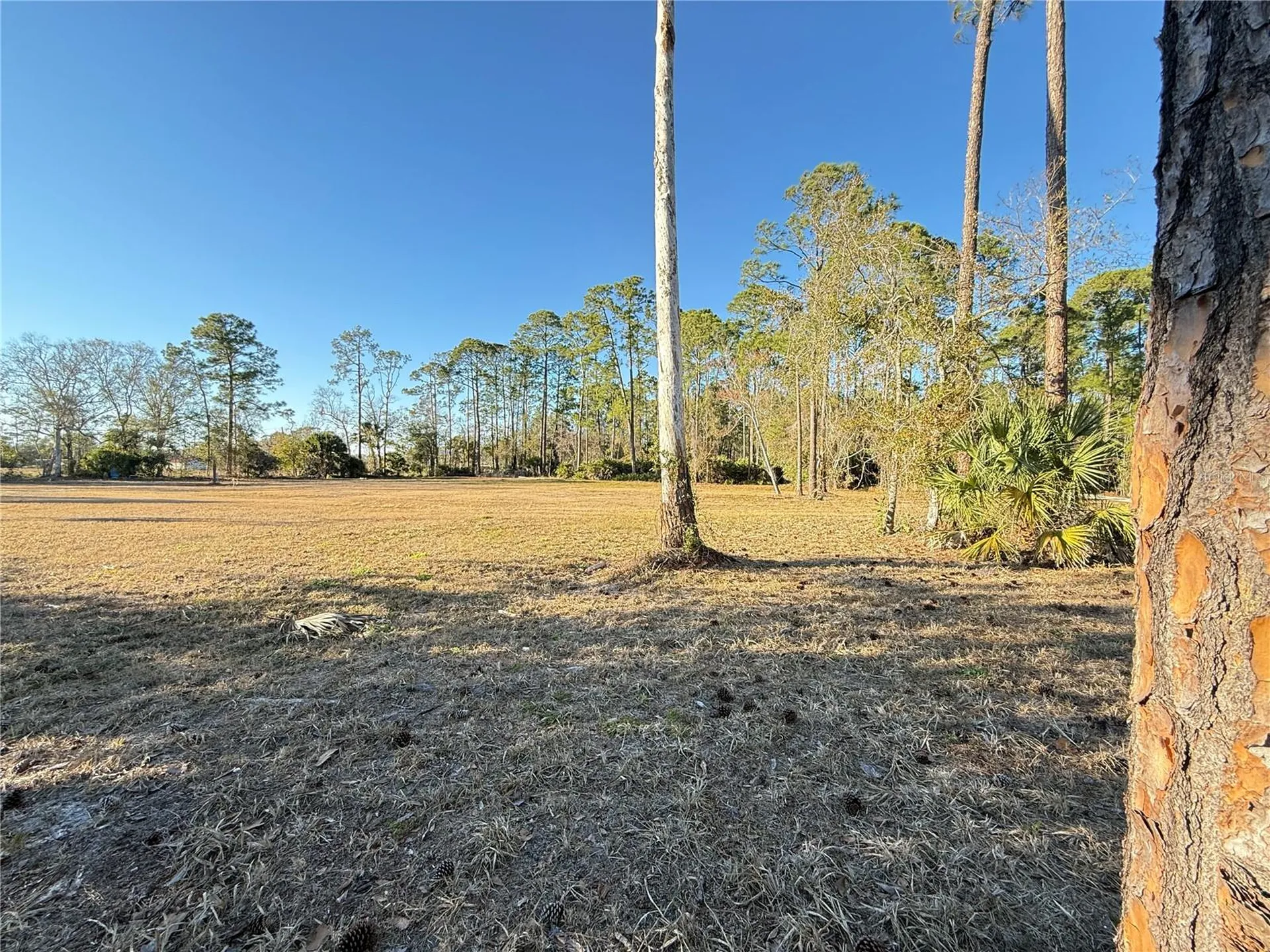 3739 Honeydew Lane New Smyrna Beach FL 32168