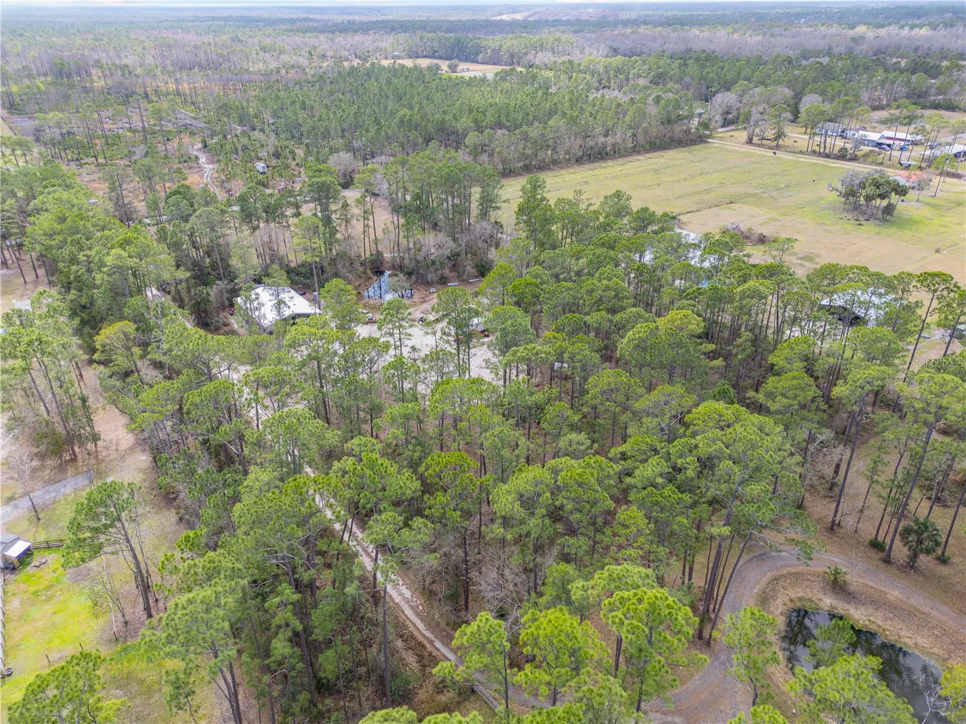 3739 Honeydew Lane New Smyrna Beach FL 32168