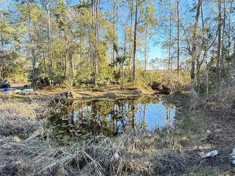 3739 Honeydew Lane New Smyrna Beach FL 32168