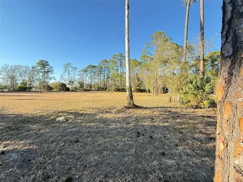 3739 Honeydew Lane New Smyrna Beach FL 32168