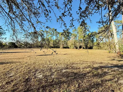 3739 Honeydew Lane New Smyrna Beach FL 32168
