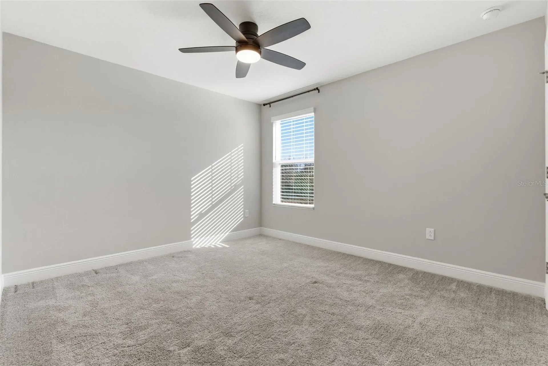 17674 Everlong Drive Land O Lakes FL 34638