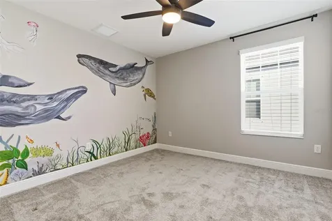 17674 Everlong Drive Land O Lakes FL 34638