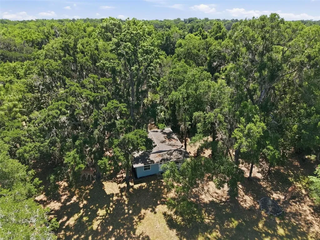 16145 Snow Memorial Highway Brooksville FL 34601