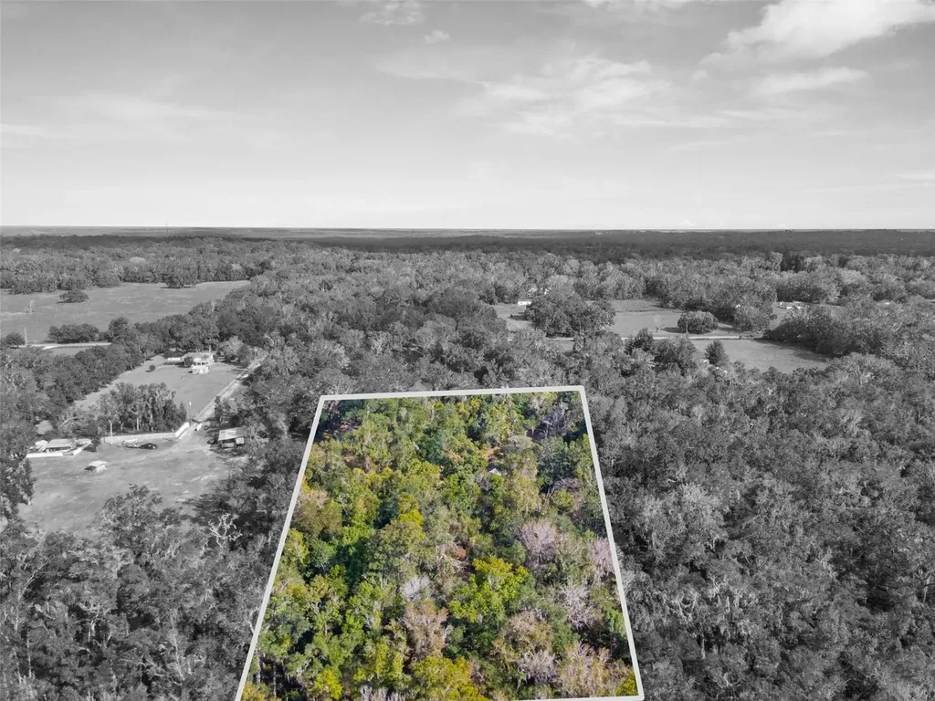 16145 Snow Memorial Highway Brooksville FL 34601