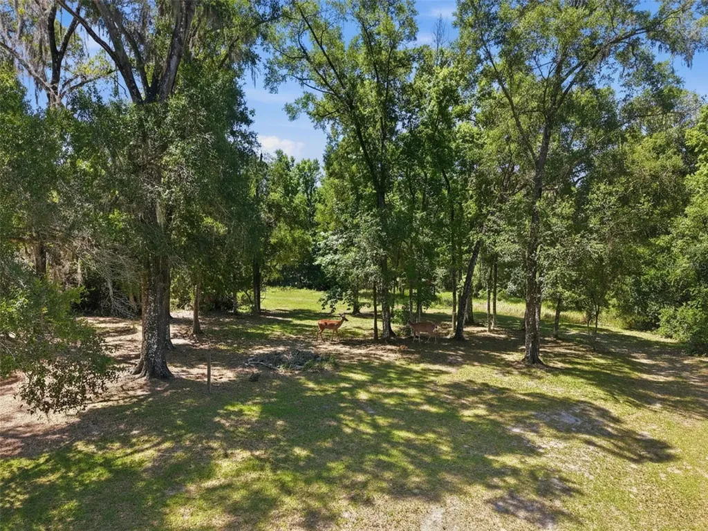 16145 Snow Memorial Highway Brooksville FL 34601