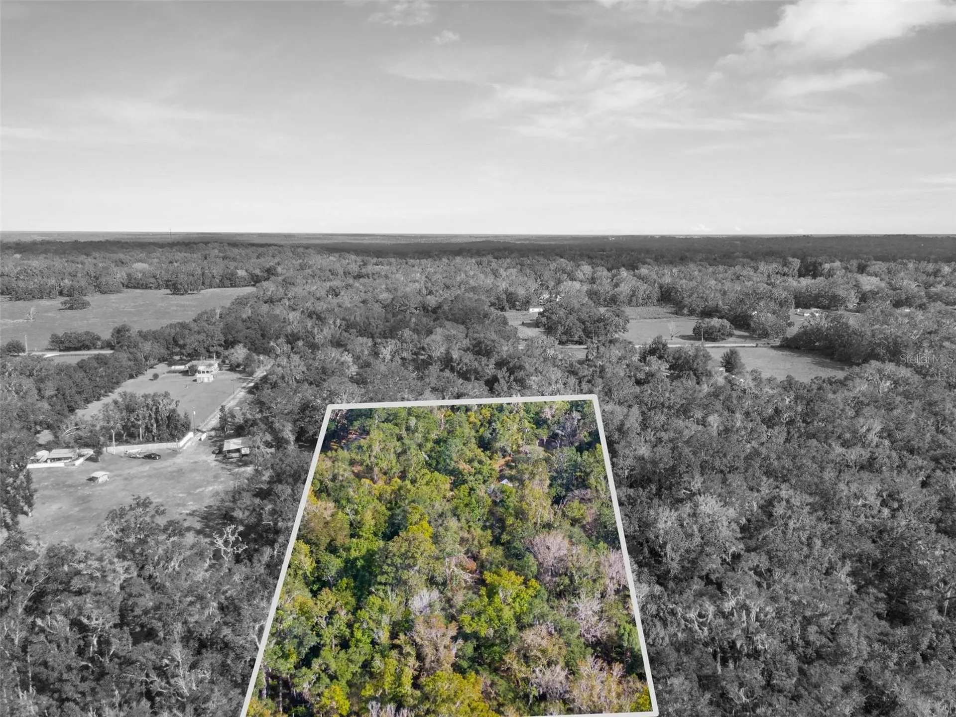 16145 Snow Memorial Highway Brooksville FL 34601