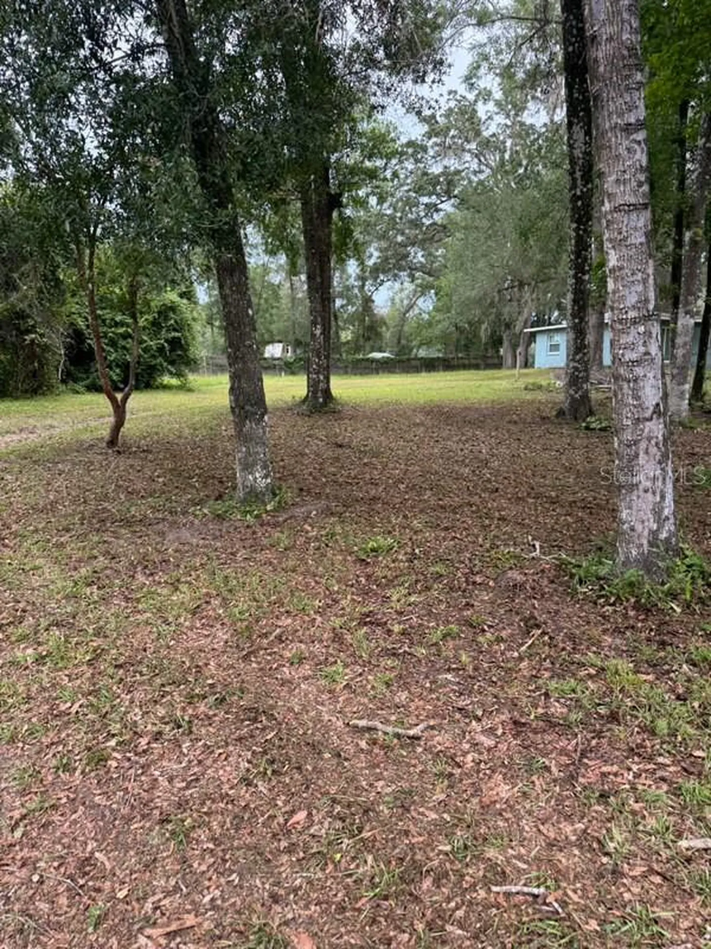 16145 Snow Memorial Highway Brooksville FL 34601
