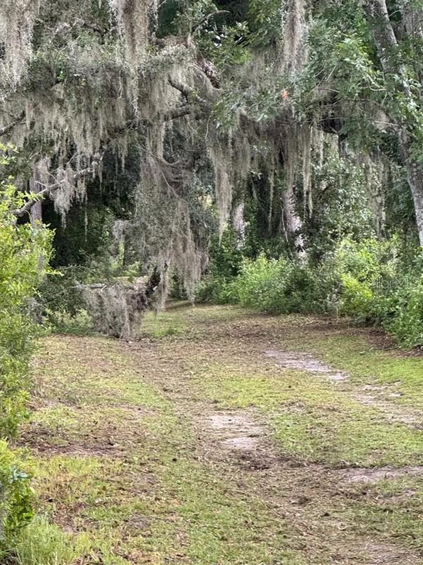 16145 Snow Memorial Highway Brooksville FL 34601