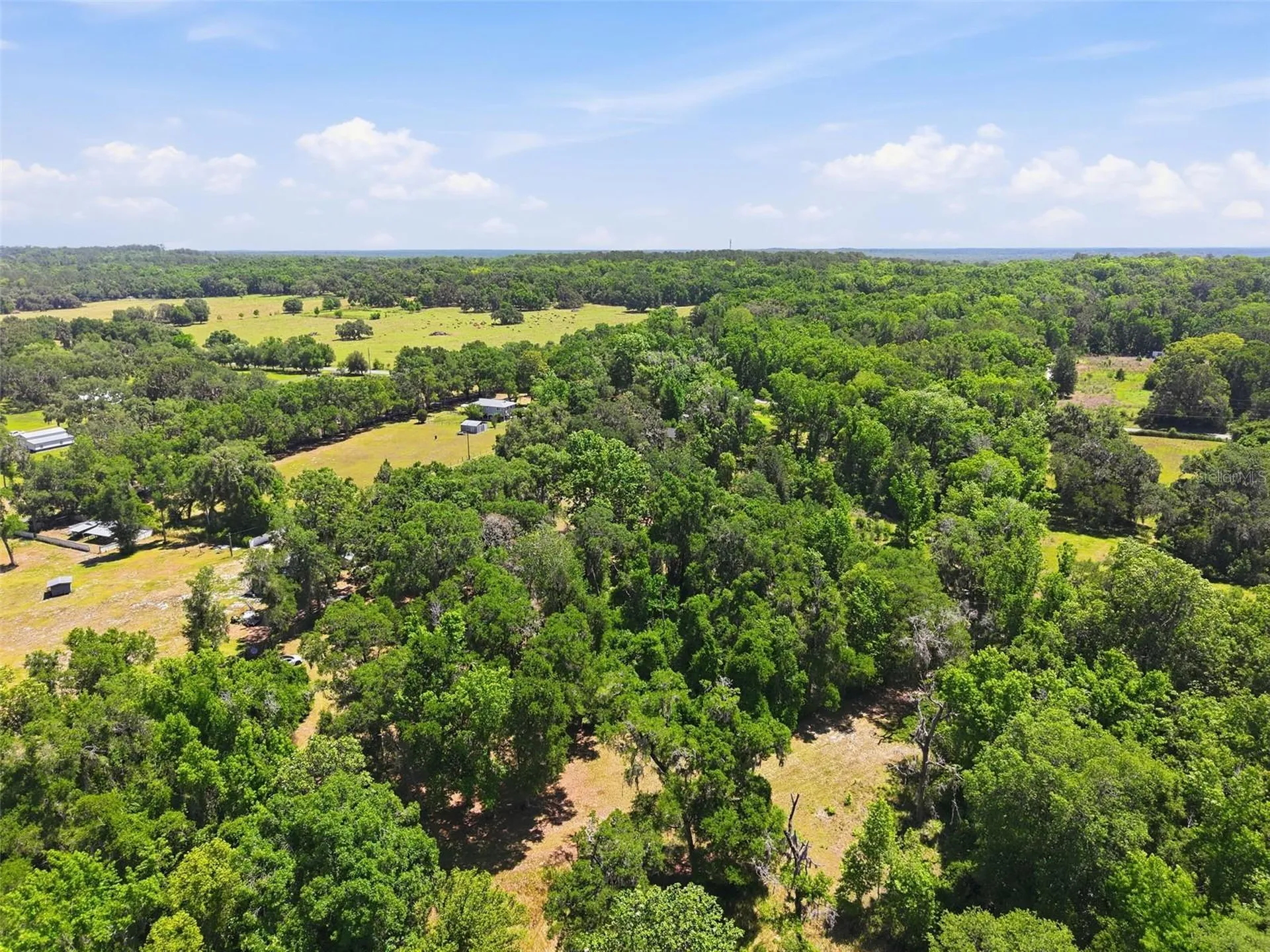 16145 Snow Memorial Highway Brooksville FL 34601