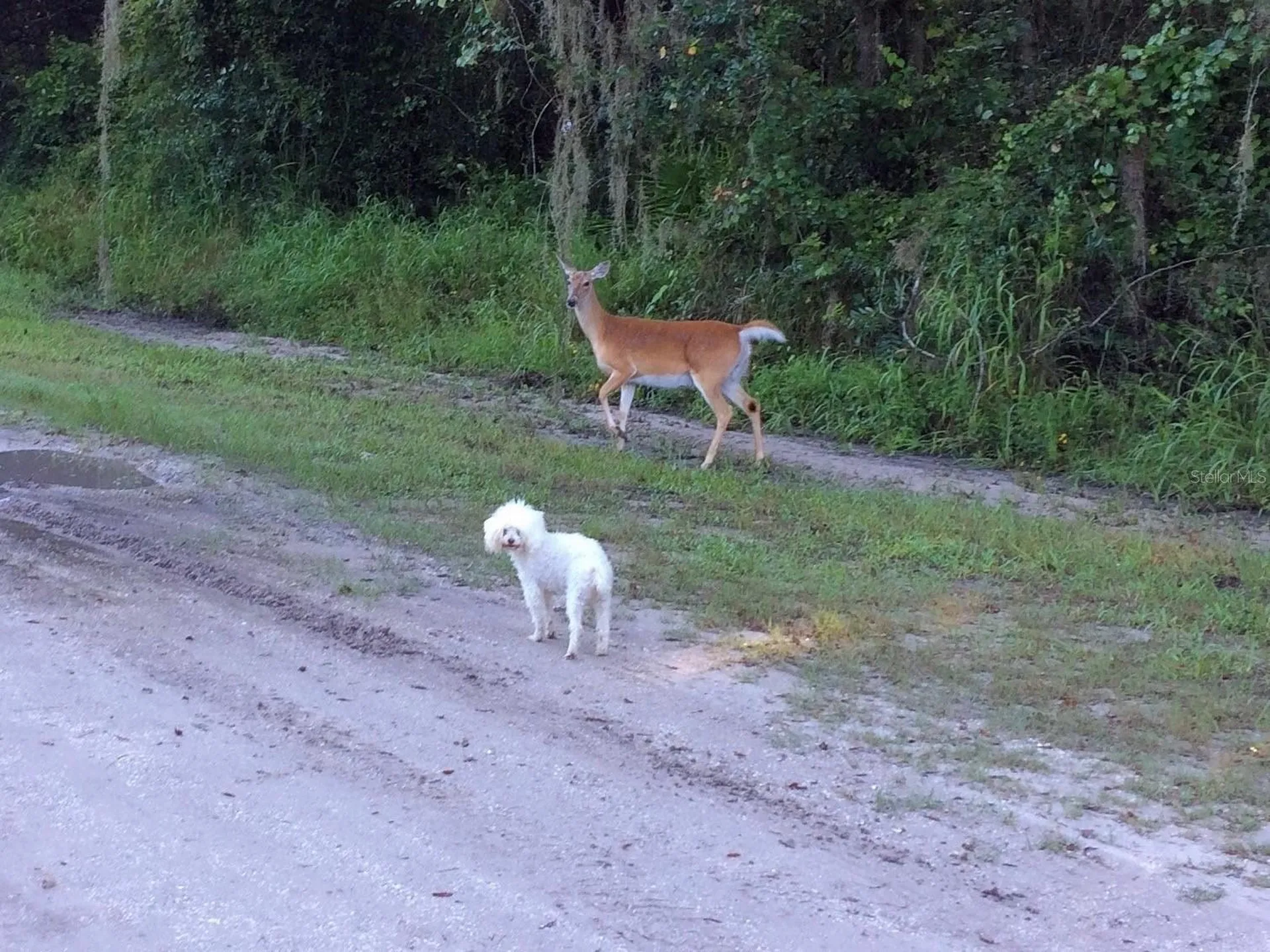 16145 Snow Memorial Highway Brooksville FL 34601