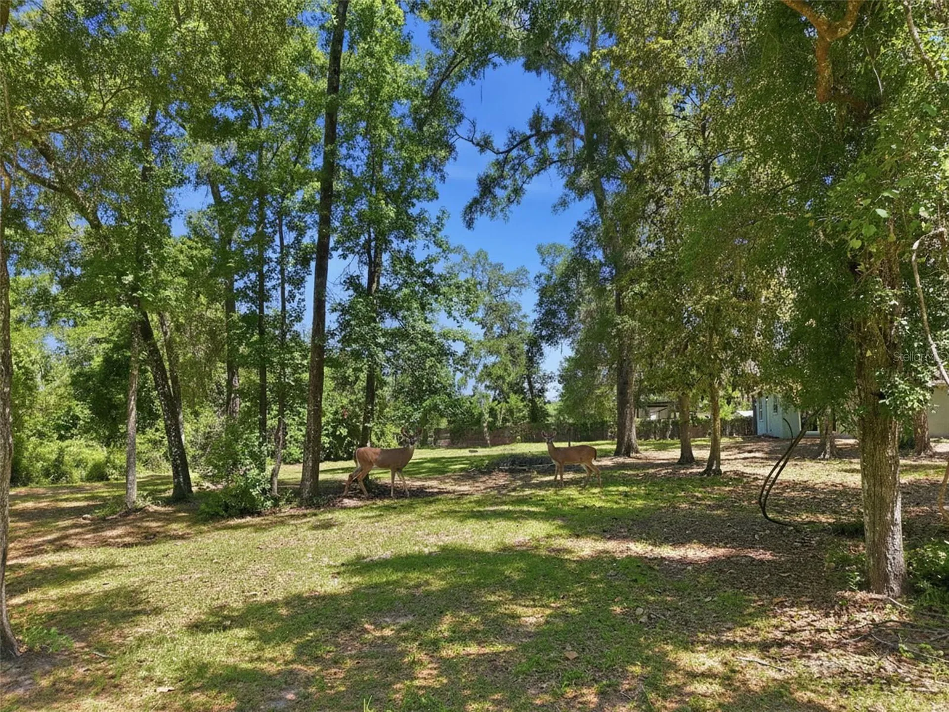 16145 Snow Memorial Highway Brooksville FL 34601