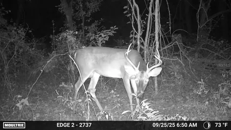 16145 Snow Memorial Highway Brooksville FL 34601