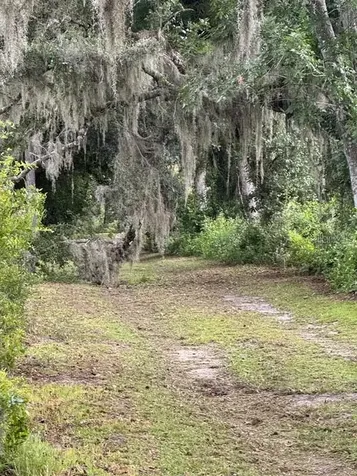 16145 Snow Memorial Highway Brooksville FL 34601