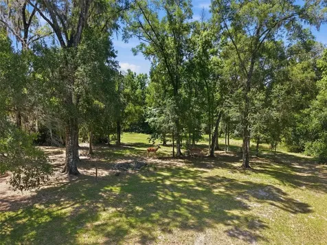 16145 Snow Memorial Highway Brooksville FL 34601