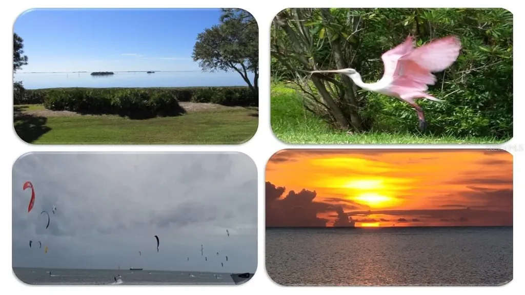 1806 Mariner Drive Tarpon Springs FL 34689
