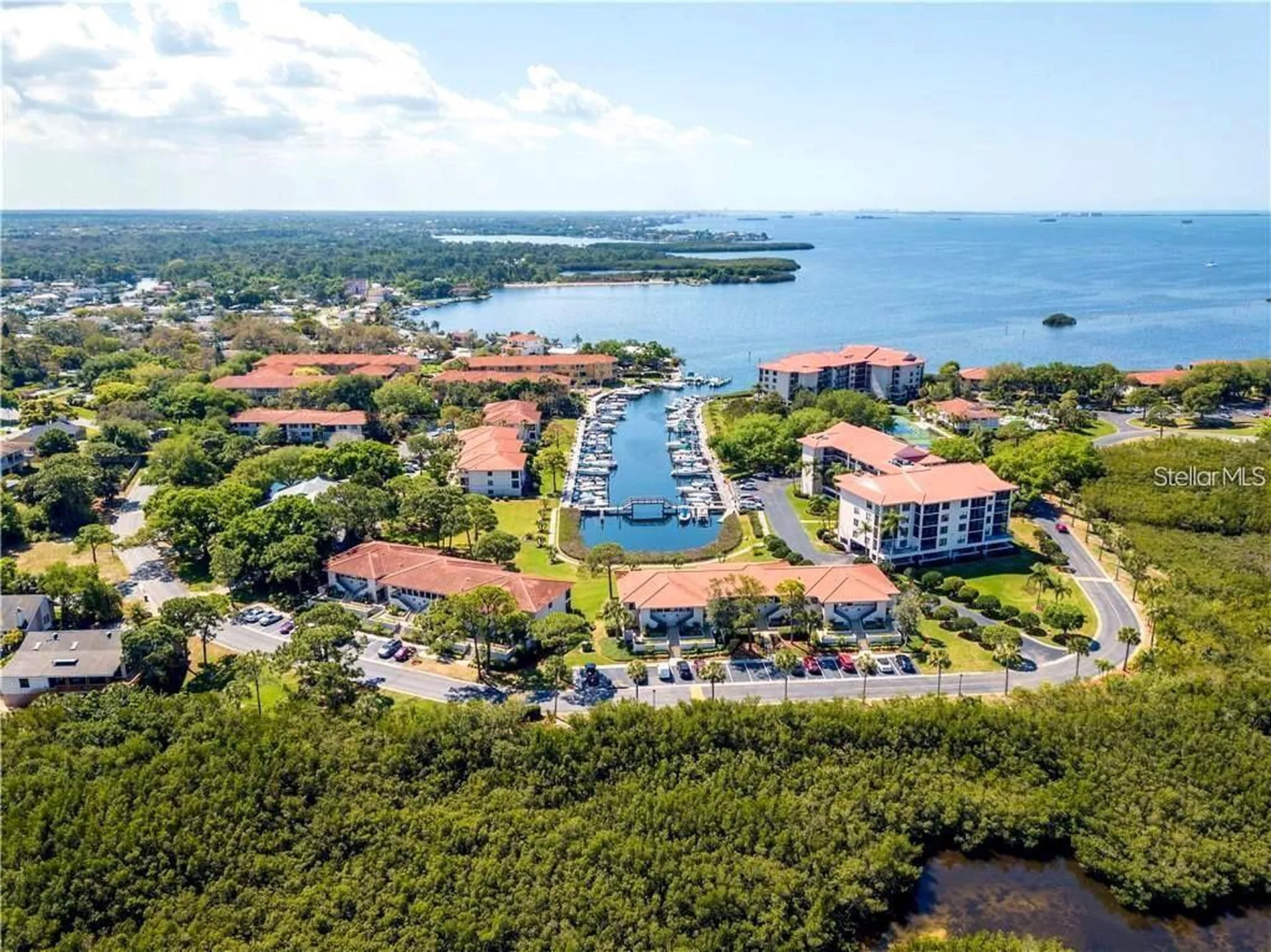 1806 Mariner Drive Tarpon Springs FL 34689