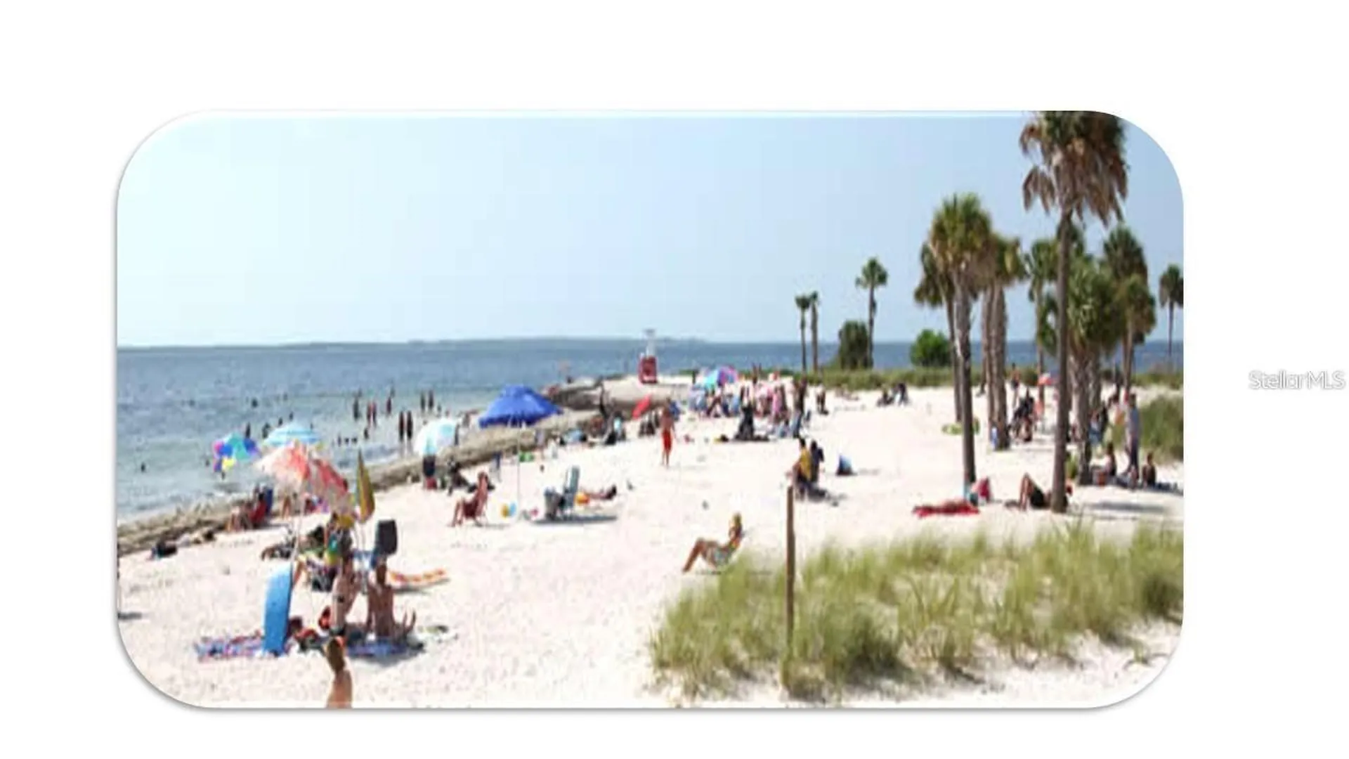 1806 Mariner Drive Tarpon Springs FL 34689